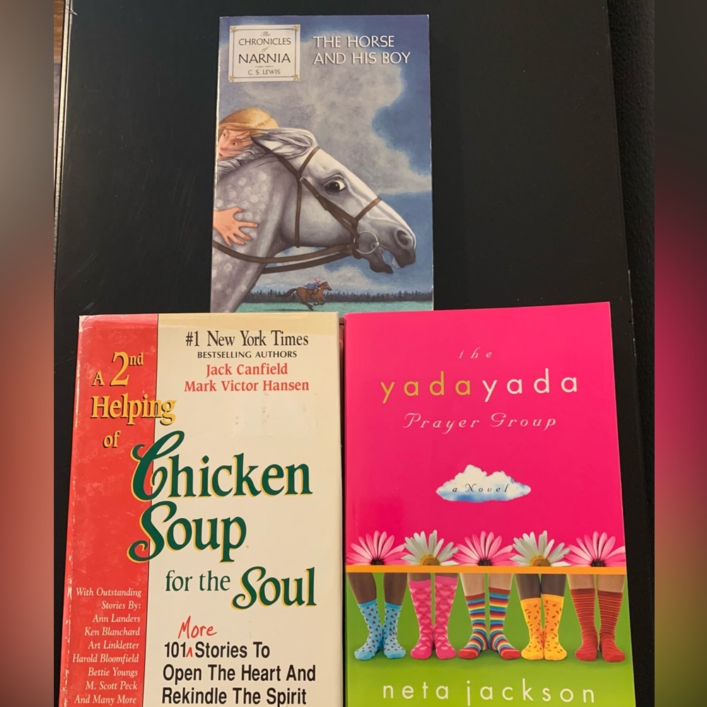 3 Book bundle Narnia, Chicken Soup for the Soul, Yada Yada Prayer Group
